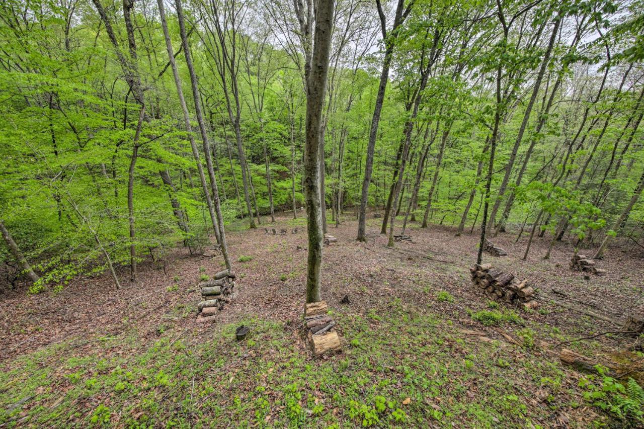 Peaceful Blue Ridge Cabin With Decks And Fire Pit Bagian luar foto